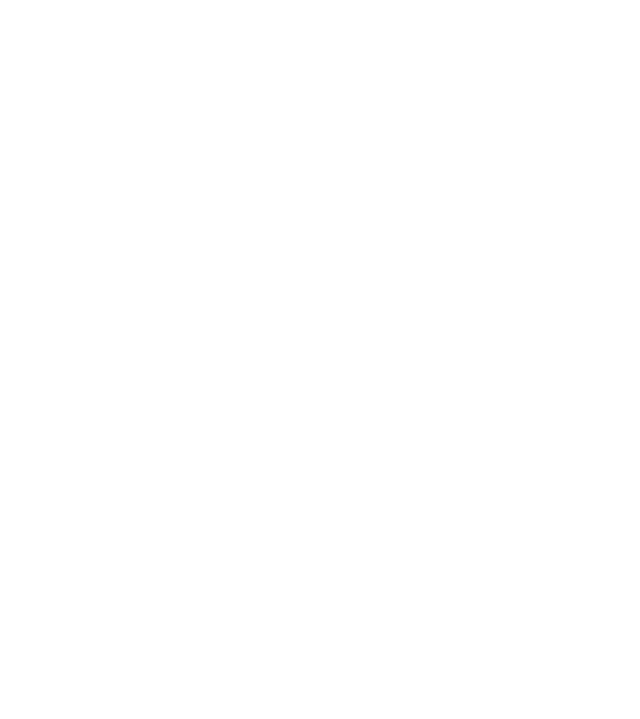 Ringsted Dun Logo White